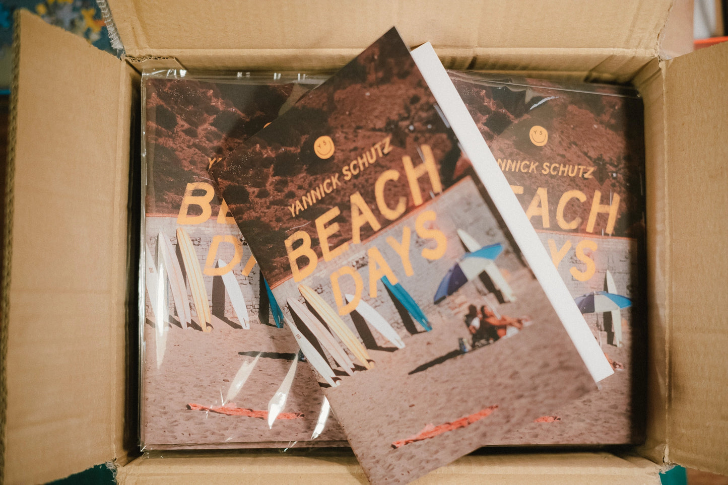 Two books titled 'Beach Days' by Yannick Schutz in a cardboard box.